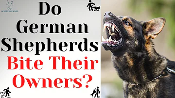 Do German Shepherds Bite Their Owners? How Safe Are They?