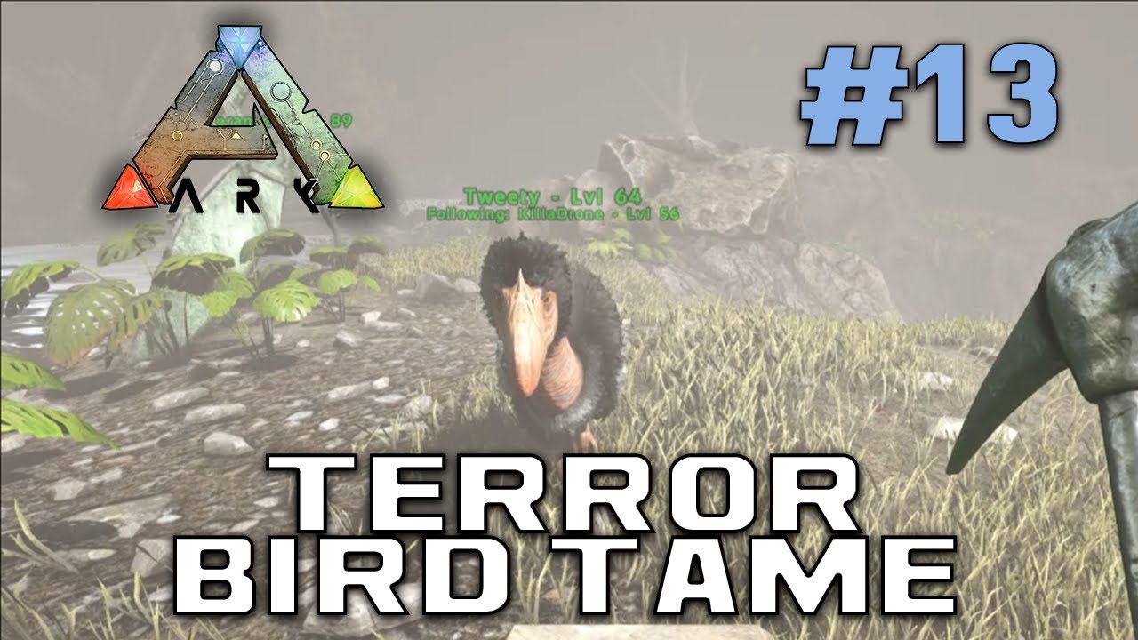 games people play Terror Bird Taming! | Ark: Survival Evolved | Season 1 Episode 13