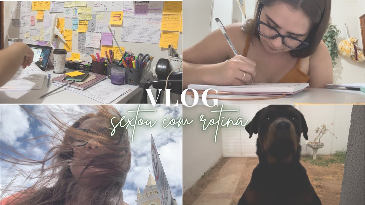 Vlog em tempo real da minha sexta - estudos, trabalho, vinho | Ma