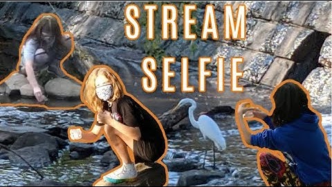 Stream Selfie