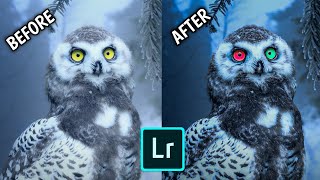 How To Change Eye Color In Lightroom | My Editing Workflow !!! screenshot 1