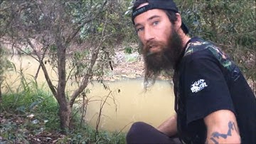 I found a PLATYPUS in the Atherton Tablelands