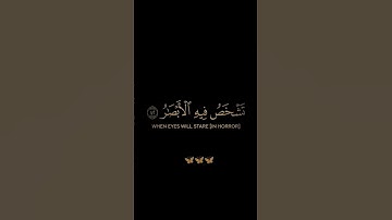 سورة إبراهيم / القارئ عبد الرحمن مسعد / تلاوة خاشعة تريح سمعك