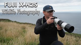 Fuji XH2S First Wildlife Photography Shoot  Fuji XH2S + XF 150600mm