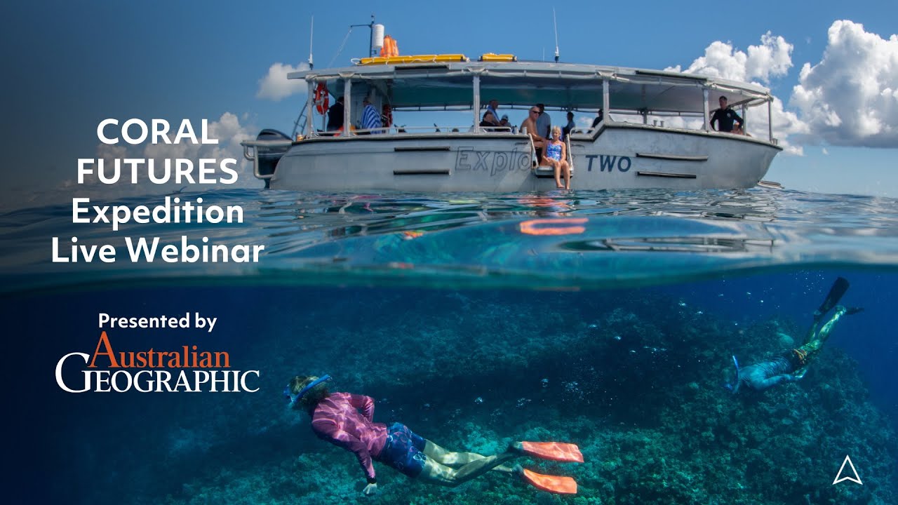 В ПРЯМОМ ЭФИРЕ: Вопросы и ответы на вебинар по экспедиции CORAL FUTURES