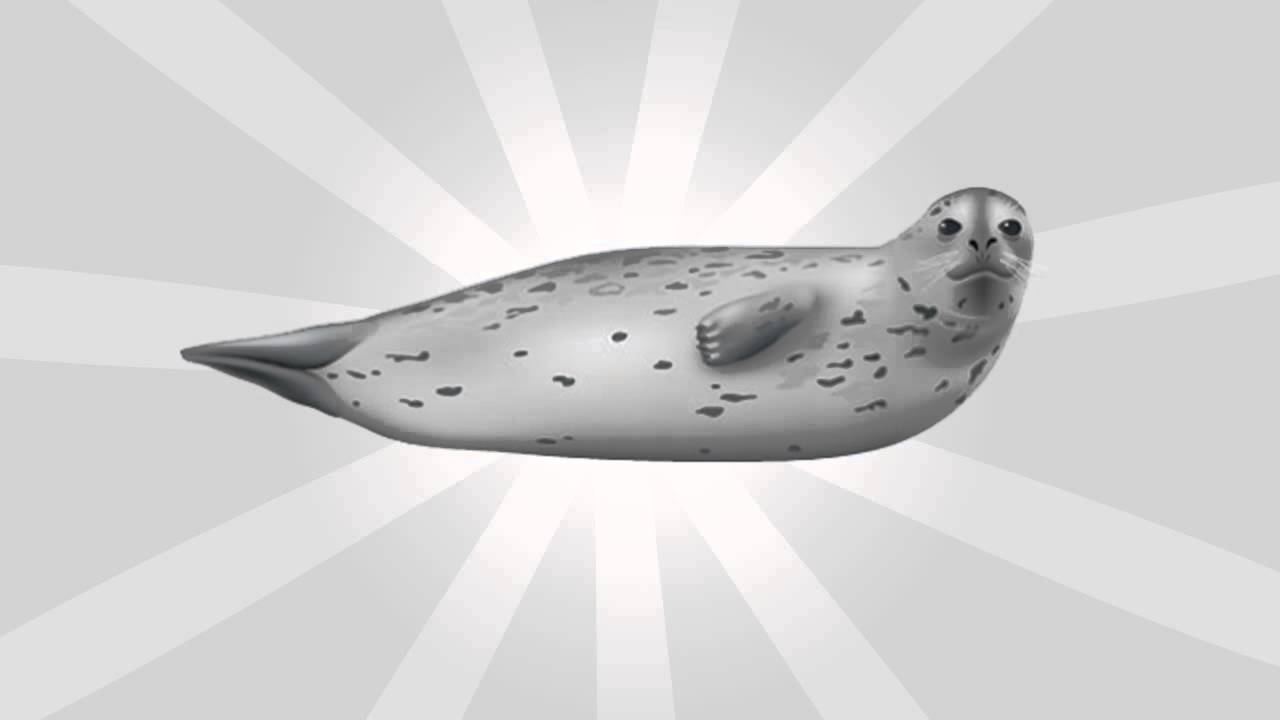 Seal Sound Effects YouTube