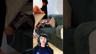  yahia X yahia yahea yaheaalzo3bi  comedy cutebaby memes twitch