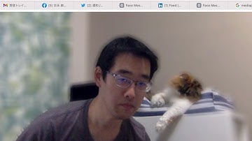 Camera Filter with Background Blur and Auto-Framing using Google MediaPipe