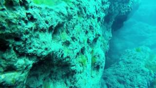 brad and josh dive 2015 vortex spring