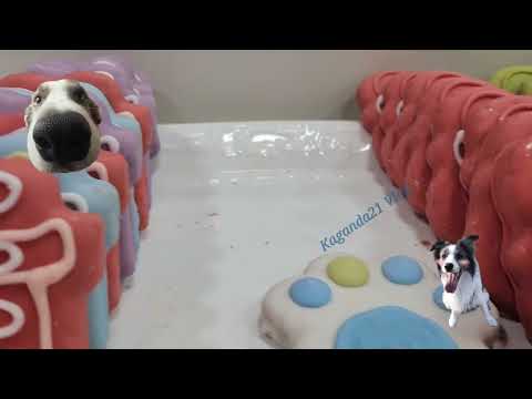 Dog treats 🐕 #kaganda21vlog #dog #shortsvideo #satisfying #treat #cute