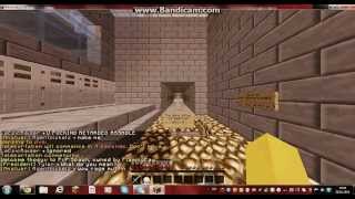 Minecaft ShockNetwork The Warp PvP