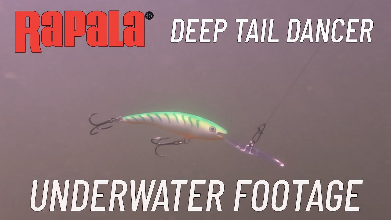 Rapala Deep Tail Dancer - FishUSA