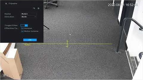 Dahua CCTV   How to set up IVS NVR
