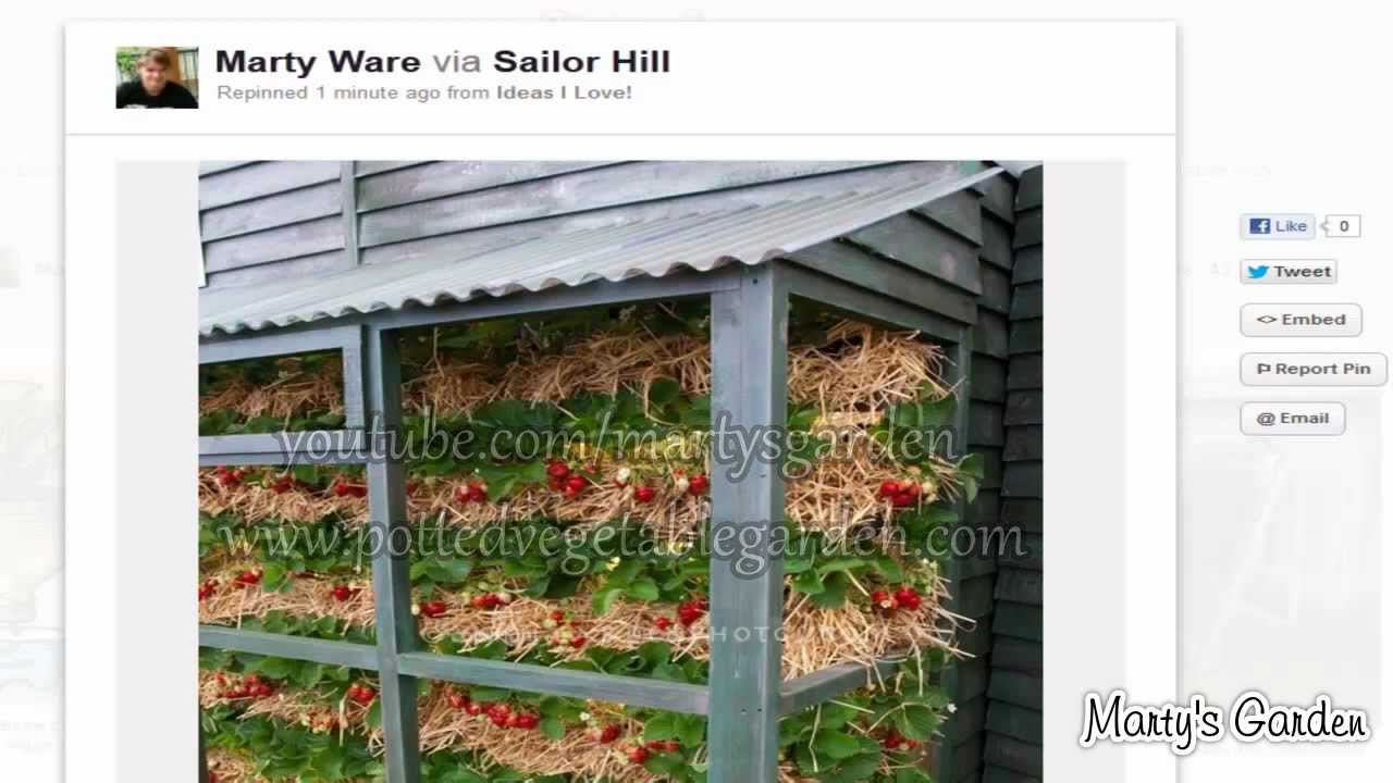 3 Original Ideas For Vertical Strawberry Gardening YouTube