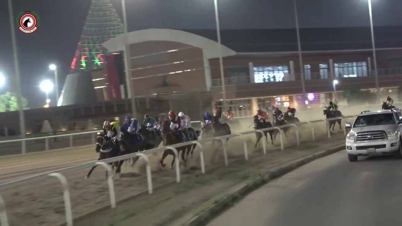 الاجتماع ( 17 ) الشوط ( 6 ) الجواد الفهد2  / المالك الثبيتي