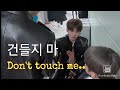 lee know battling everyone in stray kids (don't you dare to touch him) part 2 스트레이 키즈에서 모두와 싸우는 리노