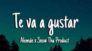 Te va a gustar - Alemán ft. Snow Tha Product [Letra/Lyrics]