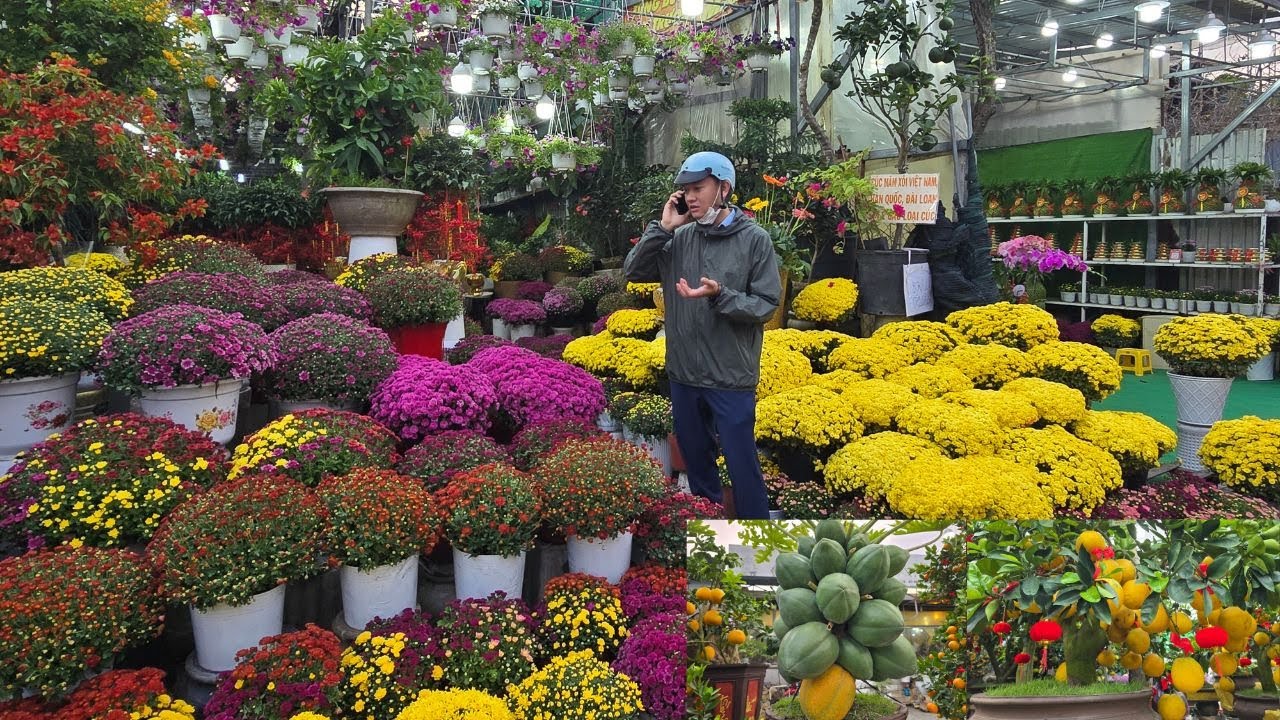 Bông Tết tại đại bản doanh Sài Gòn nhiều loại kỳ hoa dị thảo, người dân kéo nhau đi mua