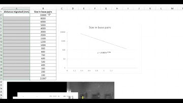 How to make a standard curve in Excel