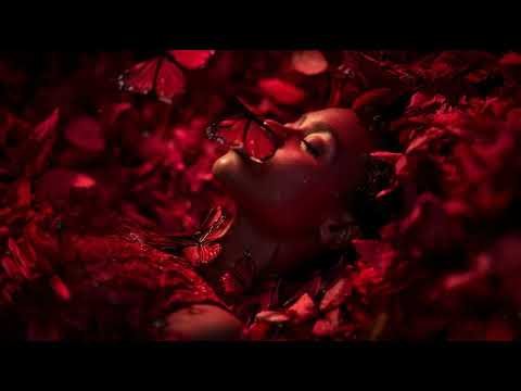 XRISTXAN | Like a Fever ( Melodic AfroHouse )