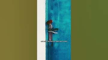 Your wishes? | Mufti Menk #muftimenk #islamicreminder #islamicvideo #shorts