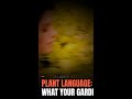 Plants Are Talking: Decoding Their Secret Language