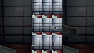 Mr Sandman Cat Budakpanjang