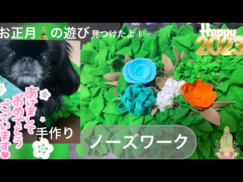 【お正月の遊び方】元保護犬ペキニーズにノーズワークを手作りしてみた【peki】【犬】NoseWork