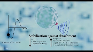 Quick animation of the bubble-particle interaction process in Flotation