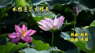 231.水裡蓮花火裡栽.新唱  詞曲/融熙居士  鳥語/編曲