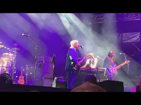 PLEASE BE UPSTANDING -  SQUEEZE