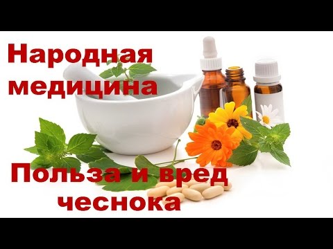 Польза и вред чеснока