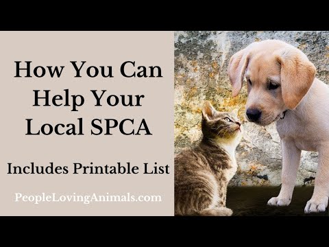 Is Spca Free