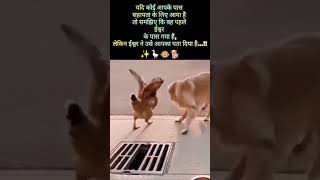 Dheere Dheere Hausla #Animals teach us to help#🫶🪿🐵🐕