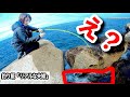 【穴釣り】この穴だけが爆釣 理由を知っている妻 やばかった!!!まさかの奇跡が起きました、穴にはパラダイスが!!