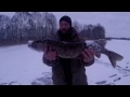 Зимняя рыбалка Сезон 2017 # 3