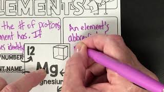 Elements Doodle Notes Net Worth
