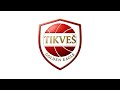 DINO BASKET - TIKVES GOLDEN EAGLE (M-14)