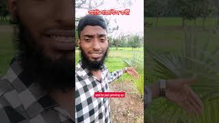 The Sugar Pump Treemango Tree English Blog Video