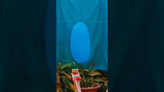 Amazing handmade crafts perfect aim #amazing #diycrafts