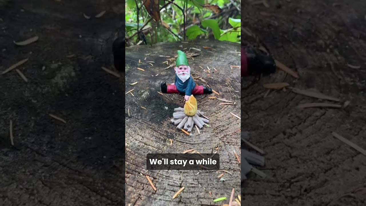 Orca Camp with Grey Wolf Expeditions, July 2025