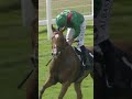 King George winner 2025