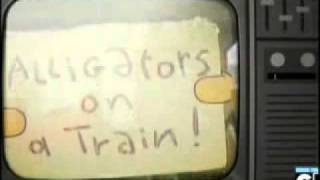 Alligator on a train spatra remix