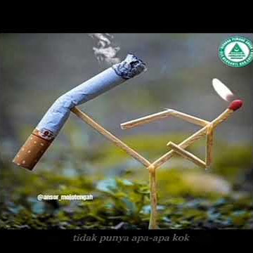 status wa 30 detik jangan merasa memiliki-kh Anwar Zahid