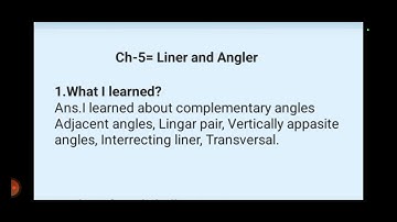 Class 7 math//Ch 5 Lines and Angles//learner diary