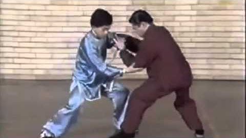 Yang Family Tai Chi Chuan Push Hands Drills