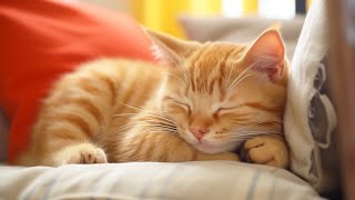 Music for Nervous Cats - Soothing Sleep Music, Deep Relaxation Music For Your Pet