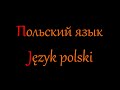 О том как я язык польский учил