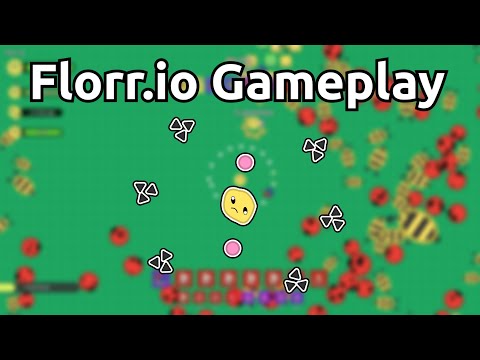 Florr.io - Playing with the developer