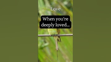 The Power of Small Gestures in Deep Love #crushsecrets #relationship